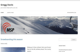 msp-website1